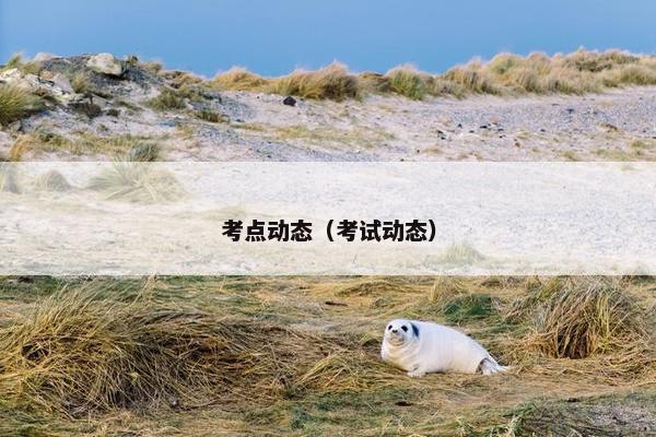 考点动态（考试动态）