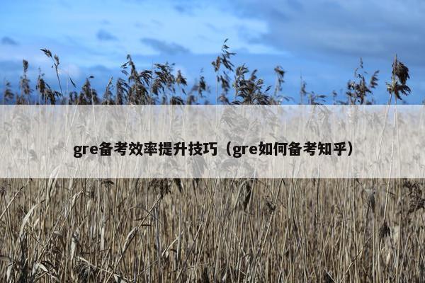 gre备考效率提升技巧（gre如何备考知乎）