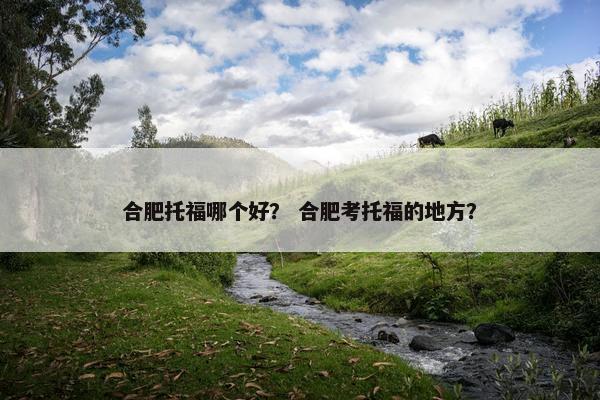 合肥托福哪个好？ 合肥考托福的地方？