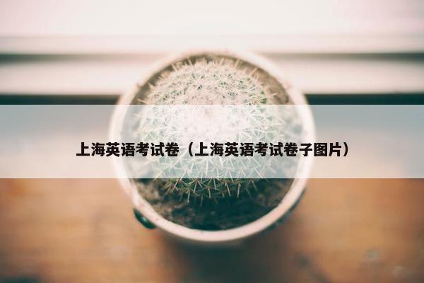上海英语考试卷（上海英语考试卷子图片）