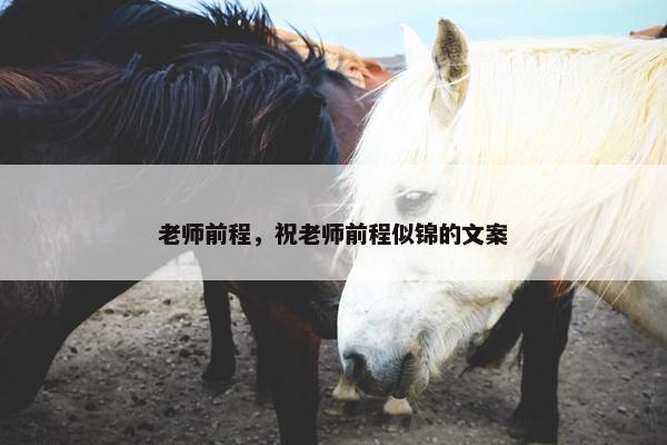 老师前程，祝老师前程似锦的文案