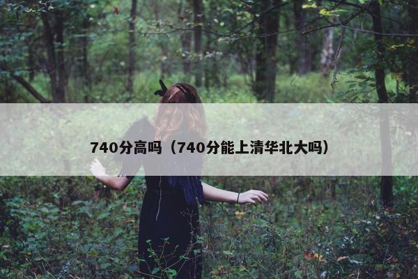 740分高吗（740分能上清华北大吗）