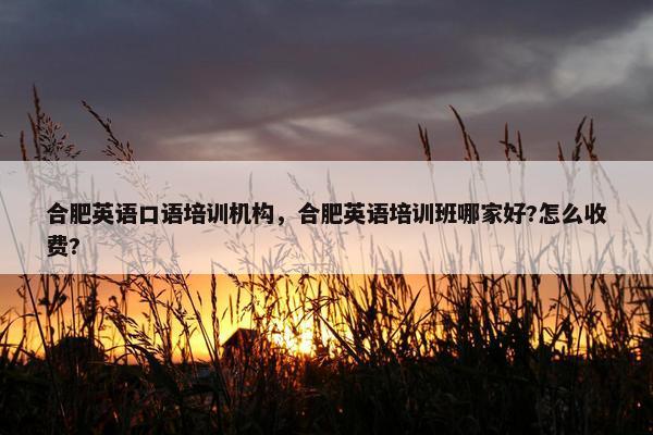 合肥英语口语培训机构，合肥英语培训班哪家好?怎么收费?