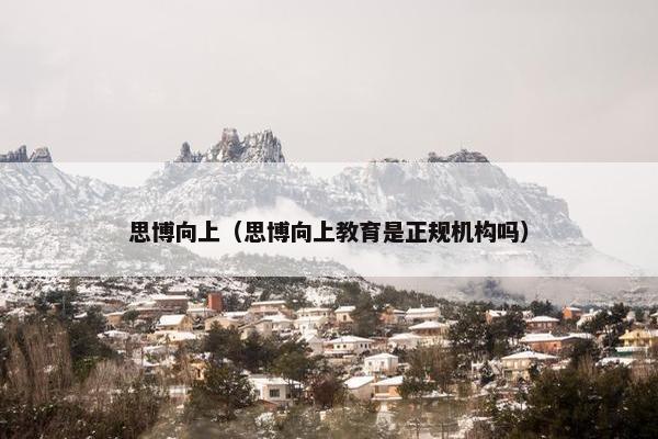 思博向上（思博向上教育是正规机构吗）