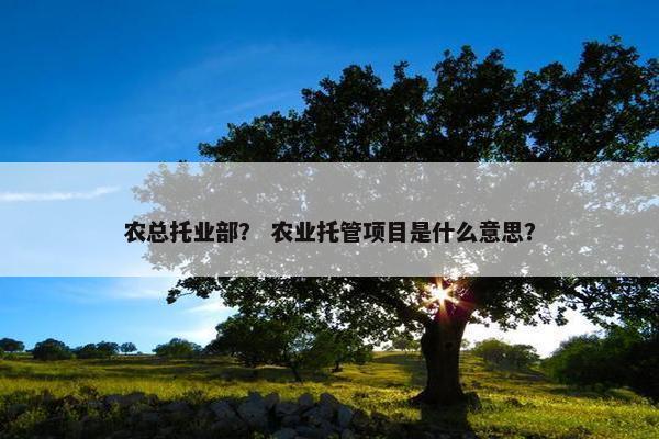 农总托业部？ 农业托管项目是什么意思？