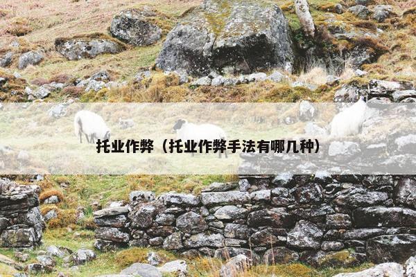 托业作弊（托业作弊手法有哪几种）