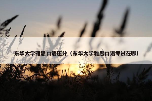 东华大学雅思口语压分（东华大学雅思口语考试在哪）
