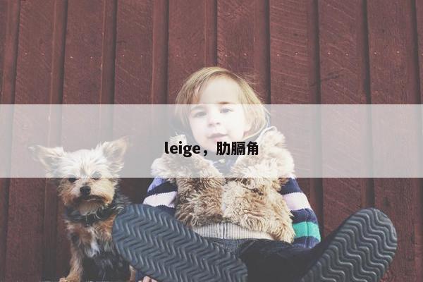 leige，肋膈角