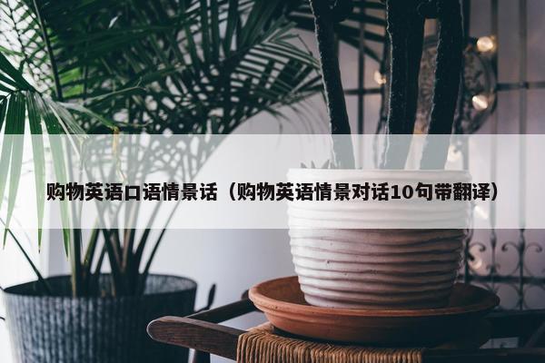 购物英语口语情景话（购物英语情景对话10句带翻译）