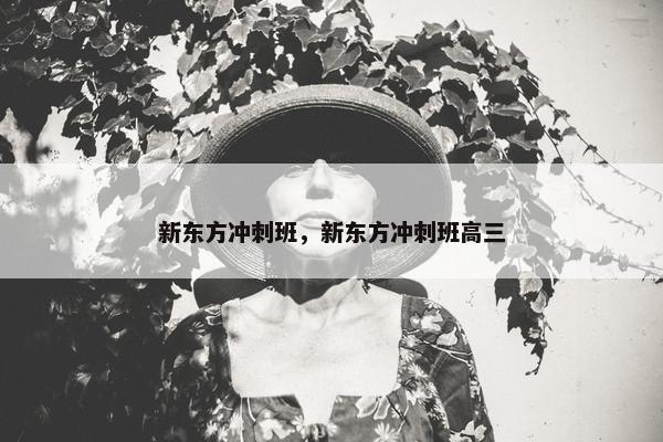 新东方冲刺班，新东方冲刺班高三