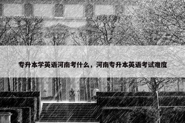 专升本学英语河南考什么，河南专升本英语考试难度