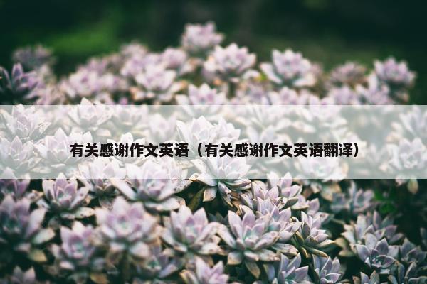 有关感谢作文英语（有关感谢作文英语翻译）