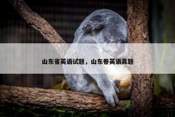 山东省英语试题，山东卷英语真题