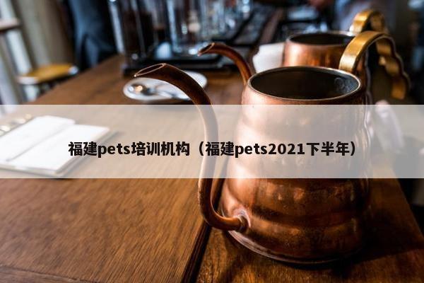 福建pets培训机构（福建pets2021下半年）