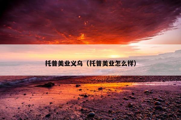 托普美业义乌（托普美业怎么样）