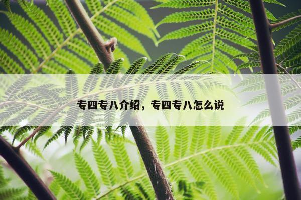 专四专八介绍，专四专八怎么说