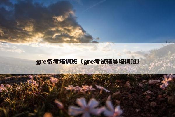 gre备考培训班（gre考试辅导培训班）