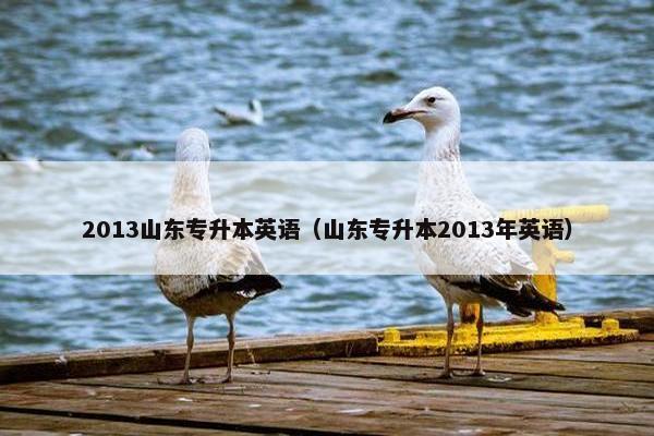2013山东专升本英语（山东专升本2013年英语）