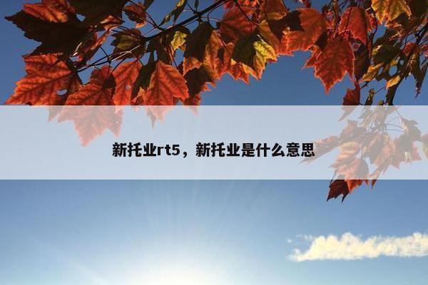新托业rt5，新托业是什么意思