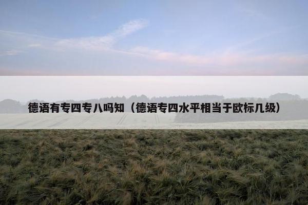 德语有专四专八吗知（德语专四水平相当于欧标几级）