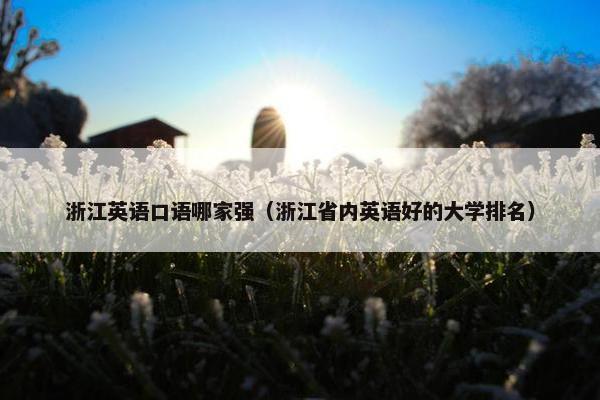 浙江英语口语哪家强（浙江省内英语好的大学排名）