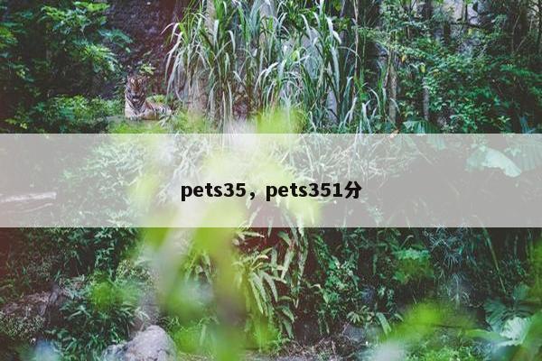 pets35，pets351分