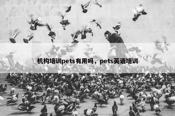 机构培训pets有用吗，pets英语培训