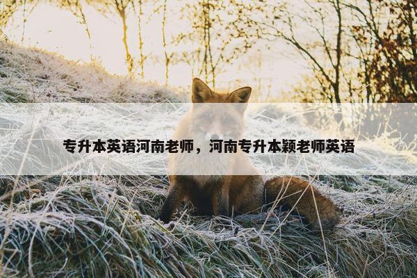 专升本英语河南老师，河南专升本颖老师英语