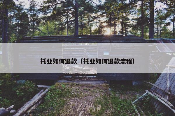 托业如何退款（托业如何退款流程）