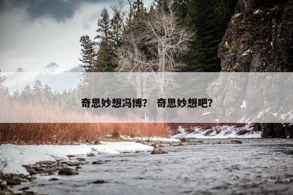 奇思妙想冯博？ 奇思妙想吧？