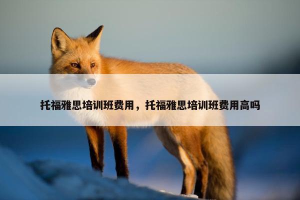 托福雅思培训班费用，托福雅思培训班费用高吗