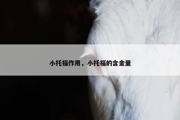 小托福作用，小托福的含金量