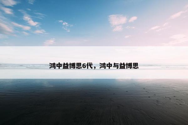 鸿中益博思6代，鸿中与益博思
