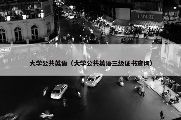 大学公共英语（大学公共英语三级证书查询）