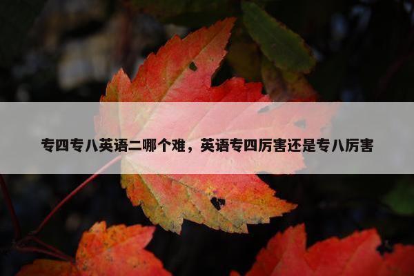 专四专八英语二哪个难，英语专四厉害还是专八厉害