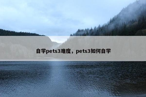 自学pets3难度，pets3如何自学