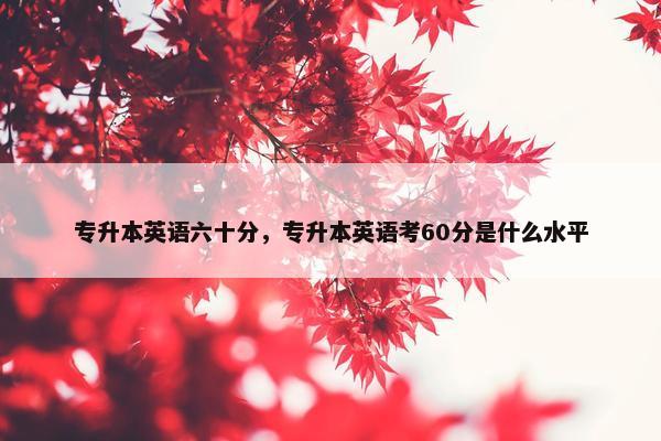 专升本英语六十分，专升本英语考60分是什么水平