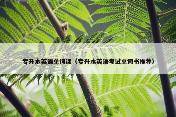 专升本英语单词课（专升本英语考试单词书推荐）