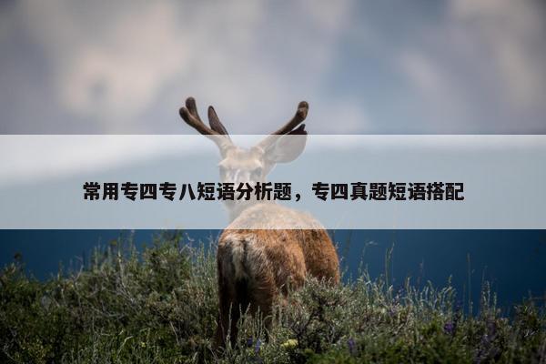 常用专四专八短语分析题，专四真题短语搭配