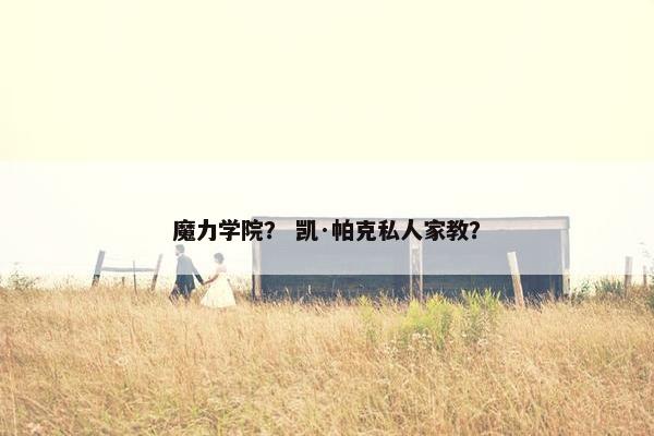 魔力学院？ 凯·帕克私人家教？