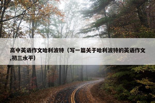 高中英语作文哈利波特（写一篇关于哈利波特的英语作文,初三水平）