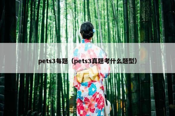pets3每题（pets3真题考什么题型）