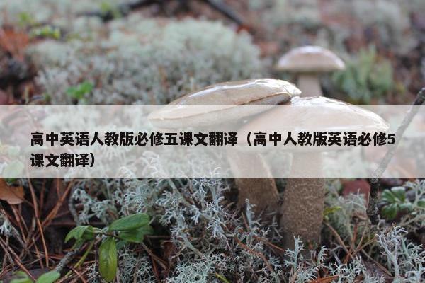 高中英语人教版必修五课文翻译（高中人教版英语必修5课文翻译）