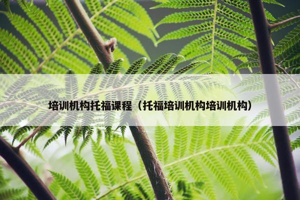 培训机构托福课程（托福培训机构培训机构）