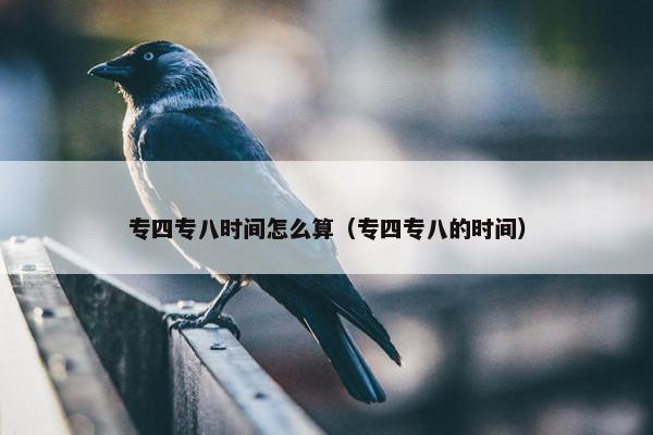专四专八时间怎么算（专四专八的时间）