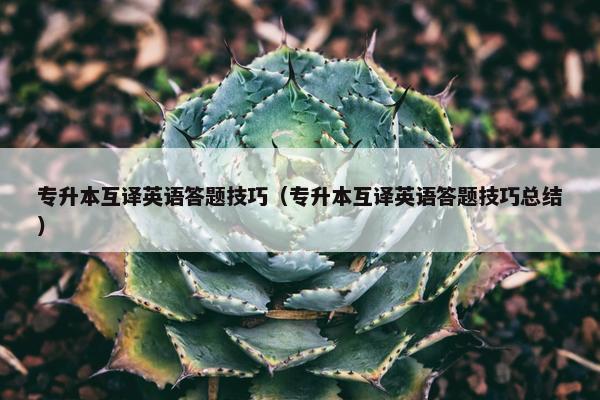 专升本互译英语答题技巧（专升本互译英语答题技巧总结）