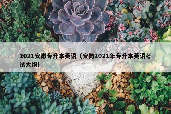 2021安徽专升本英语（安徽2021年专升本英语考试大纲）