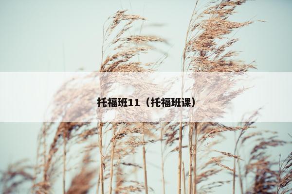 托福班11（托福班课）