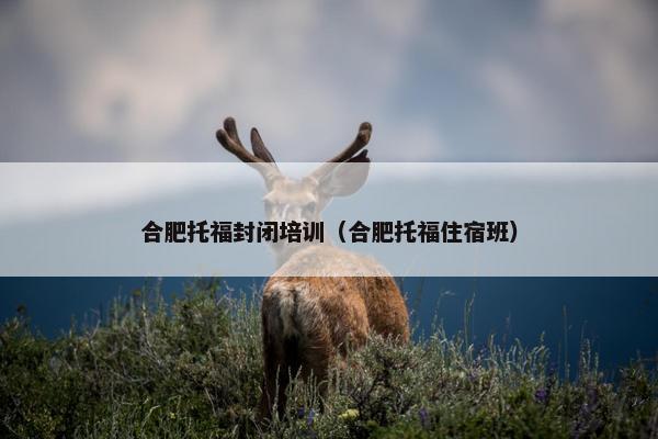 合肥托福封闭培训（合肥托福住宿班）