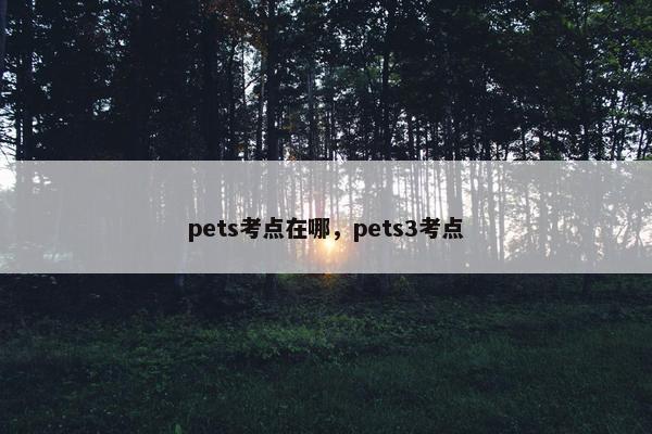 pets考点在哪，pets3考点